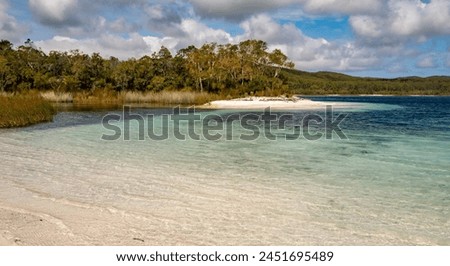 Fraser Island, Queensland, Australia: The sandy beach and clear freshwater at Lake McKenzie on Fraser Island (K'gari) The lakes are formed by rainwater settling on the dunes. Royalty-Free Stock Photo #2451695489