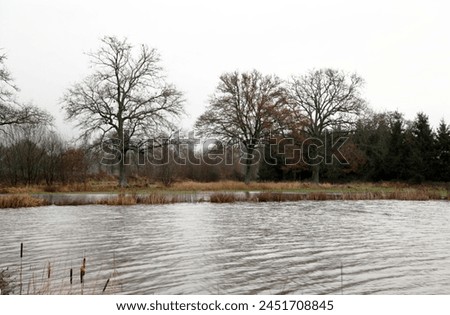 Exterior photo view of a flood of a river or pond lake on a grass field in Normandy wetland wet land during winter season with trees banks and hedges with water everywhere over the countryside