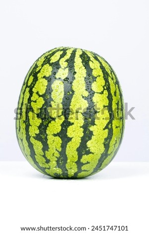 Watermelon is a flowering plant species of the Cucurbitaceae family and the name of its edible fruit. A scrambling and trailing vine-like plant, it is a highly cultivated fruit worldwide, with more th Royalty-Free Stock Photo #2451747101