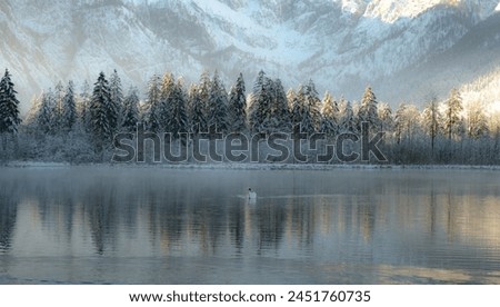 The elegant swan gracefully glides through the calm waters of the picturesque lake, creating a beautiful scene of serenity and natural beauty.  Royalty-Free Stock Photo #2451760735
