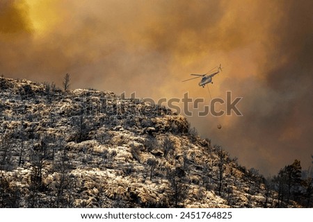 FOREST fire, destroyed forests, animals dying in the fire, destroyed vegetation, and carelessness endanger human, nature and animal life.The biggest forest fire of the last century in Antalya Manavgat