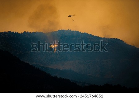 FOREST fire, destroyed forests, animals dying in the fire, destroyed vegetation, and carelessness endanger human, nature and animal life.The biggest forest fire of the last century in Antalya Manavgat