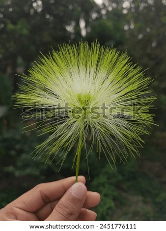 A beautiful flower on a hand
