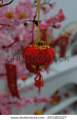 Chinese new year celebration in Asia. Pink, red and golden lantern on Japanese sakura tree for Lunar new year party. Background with glitter and bokeh lights.