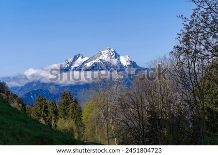 Scenic rural landscape with Lake Lucerne and snow covered mountains in the background seen from Swiss village Kehrsiten on a sunny spring day. Photo taken April 11th, 2024, Kehrsiten, Switzerland.