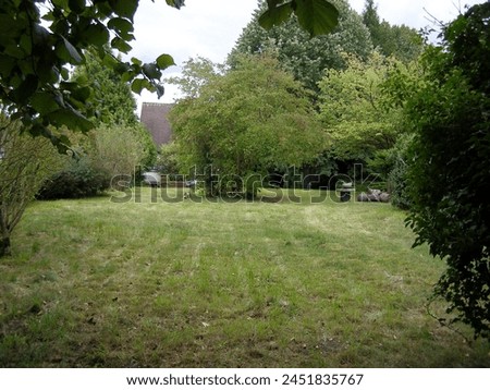 Exterior visual landscape photo of a green natural view of a park back garden of a property house in the Seine river Valley in Normandy in France with green grass trees bushes and space