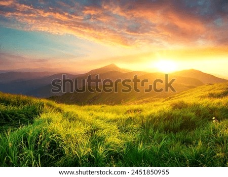 This is The best scenery for Nature while sunset. for photo editing backgrounds