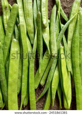 This pic is gawar phali or cluster bean.  Cluster beans or Gawar is classified as a humble vegetable. It was found in the wilds but since time has come to be found as edible food. Gawar is an excellen