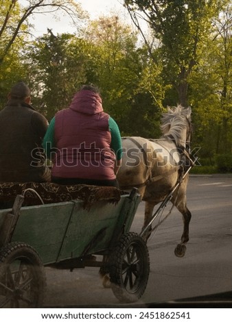 provincial life lovers horse cart Royalty-Free Stock Photo #2451862541