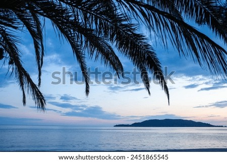 Sea sunset with palm leaves on clouds background and island. Tropical seascape for publication, poster, calendar, post, screensaver, wallpaper, cover, website. High quality photography