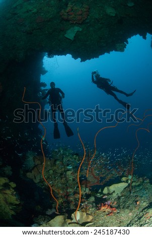Divers, sponge, wire corals in Ambon, Maluku, Indonesia underwater photo. The divers is make a pose for the captured.