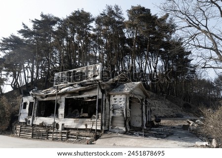 A view of a house completely burned down by a forest fire near Gyeongpodae in Gangneung, South Korea, on April 11, 2023.