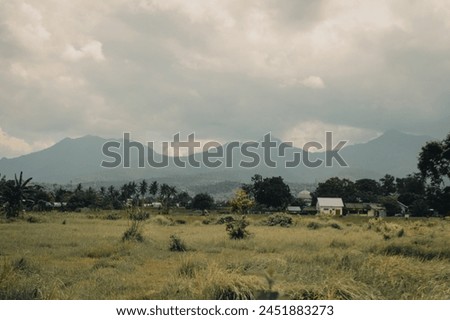 A  landscape photograph depicting a rural scene with lush green fields and scattered trees.