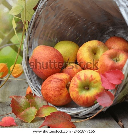 This is picture of apples.
