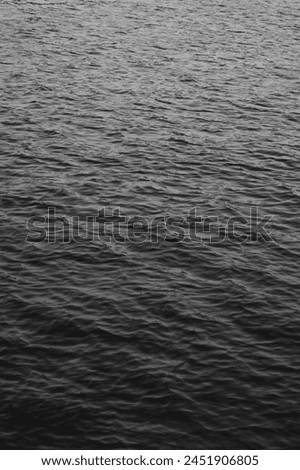 
The black and white photograph shows a close-up of the sea with small waves.
