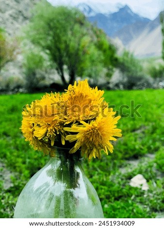 Picture of yellow flowers in bottle
Picture of yellow flowers Vibrant yellow flowers basking in sunlight radiating warmth and joy perfect for brightening any project or mood Fresh vivid and bursting 
