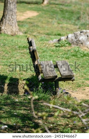 Wooden bench in a natural park setting. Solitude and relaxation concept with space for text, suitable for outdoor and lifestyle design and print.