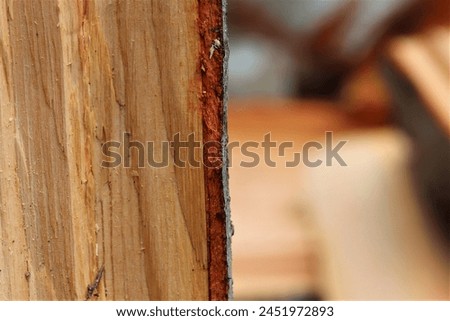 a piece of cut lumber pictured close up. A great photo for adding text to and enhancing for yourself.