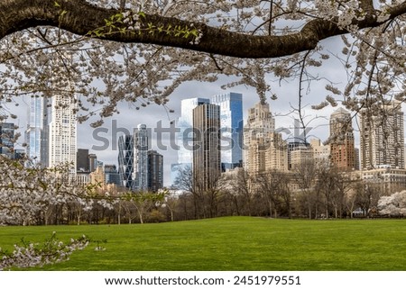 Skyline of Columbus Circle with cherry blossoms.