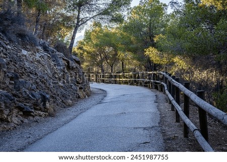 A shaded country road curves through a dense forest, the wooden fence lining the path highlights its rustic charm. High quality photo