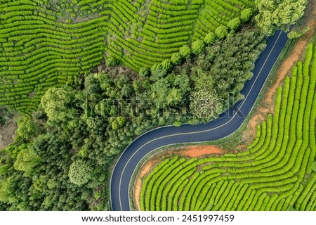 Aerial photography of Chinese tea production areas in spring
