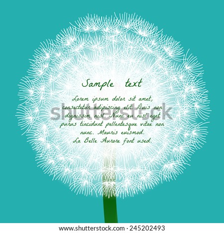 Floral design. Fluffy dandelion for the template card, invitation. poster or brochure.