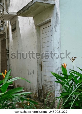 photographed the back door of the uninhabited house