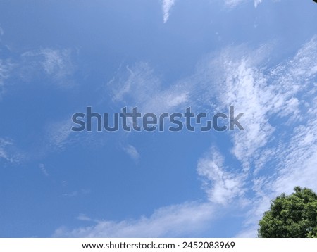 a picture of a clear sky with part of a tree in the picture