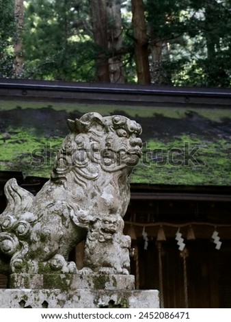 Guardian dogs of Murou Ryuketsu Shrine Royalty-Free Stock Photo #2452086471