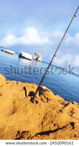Fishing rod on the beach 