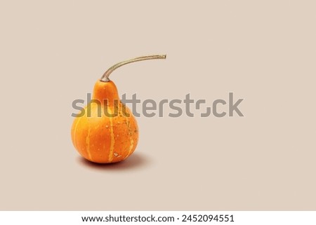 Decorative pumpkin on beige background with copy space. Minimal style aesthetic photo, autumn concept, Halloween and Thanksgiving holiday card. Mini cucurbita or squash, pastel color, creative food