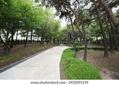 The image showcases a peaceful park setting with a winding concrete path flanked by lush green grass and tall, mature trees. The dense foliage of the trees creates a canopy overhead, providing ample s
