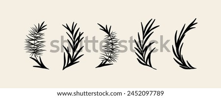 Flat vector tea tree branches collection Royalty-Free Stock Photo #2452097789