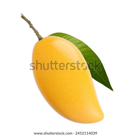 Ripe yellow mango fruit with green leaf isolated white background.