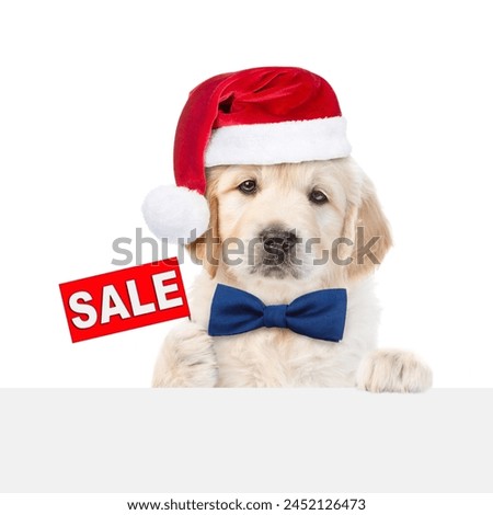 Funny Golden retriever puppy wearing santa hat and tie bow shows signboard with labeled "sale"above blank white banner. isolated on white background