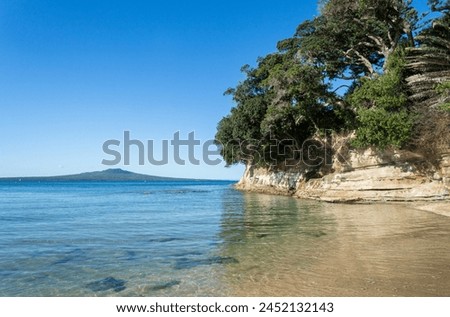 Pohutukawa trees on the cliff. Rangitoto Island in the distance. Takapuna Beach. Auckland. Royalty-Free Stock Photo #2452132143
