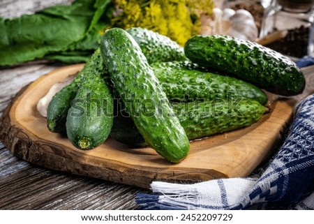 Preparation for pickling cucumbers. Small of depth focus. Royalty-Free Stock Photo #2452209729