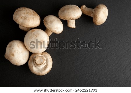 Mushroom with Black Isolated Background .