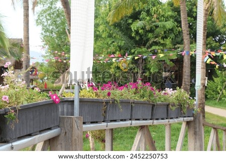 Colorful potted flowers adorn the garden, their vibrant hues adding a delightful touch to the surroundings, enhancing the beauty of the outdoor space.