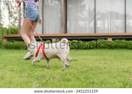 Happy asian woman playing with Cute Smart pug Puppy Dog In the Backyard
