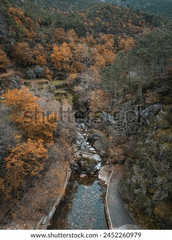 Autumnal aerial view of a forested ravine with stream, located in Serra da Estrela Natural Park, Portugal