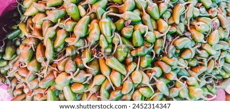 Green chillies meaning in Urdu is sabz mirch and is a tropical Vegetables celebrated for its unique flavor and color. In Urdu, Green chillies "sabz mirch" is referred to as "سبز مرچ" This delicious Ve