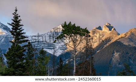 Summer time views in Banff National Park during July with stunning blue sky, beautiful day scenery in camping, campground area of Alberta, British Columbia.