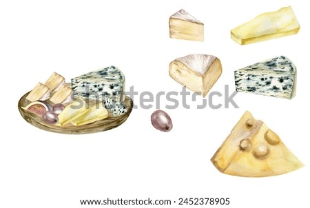 Cheese plate with single cheese pieces watercolro set. Dairy healthy food illustration with blue cheese, cheddar, camembert, grape on wooden plate. CLip art for packing, shop, diet book design