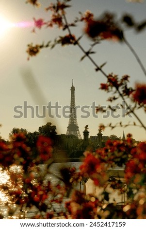 Eiffel Tower in the background of the autumn leaves