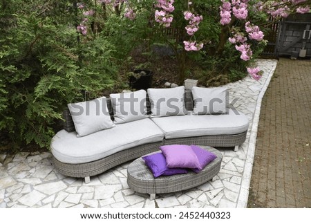 Modern outdoor garden furniture with cushions on a marble terrace. Furniture in the garden by the blossoming Sakura tree.