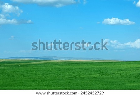 Photo of a wide plain covered with green grass. Mountains are visible on the distant horizon. Cloudy blue sky. Minimalist nature image.
