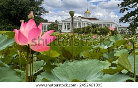Bogor, West Java, Indonesia, 21 April 2024, Bogor presidential palace, also known as the Istana Bogor, is a historic palace located in the city of Bogor, West Java, Indonesia.  Royalty-Free Stock Photo #2452461095