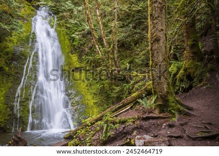 Madison Falls, Waterfall, in Olympic National Park, Washington State, USA