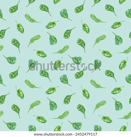 Repeat, seamless pattern with leafy green flowering plant spinach. Hand drawn watercolor illustration for clip art menu label package